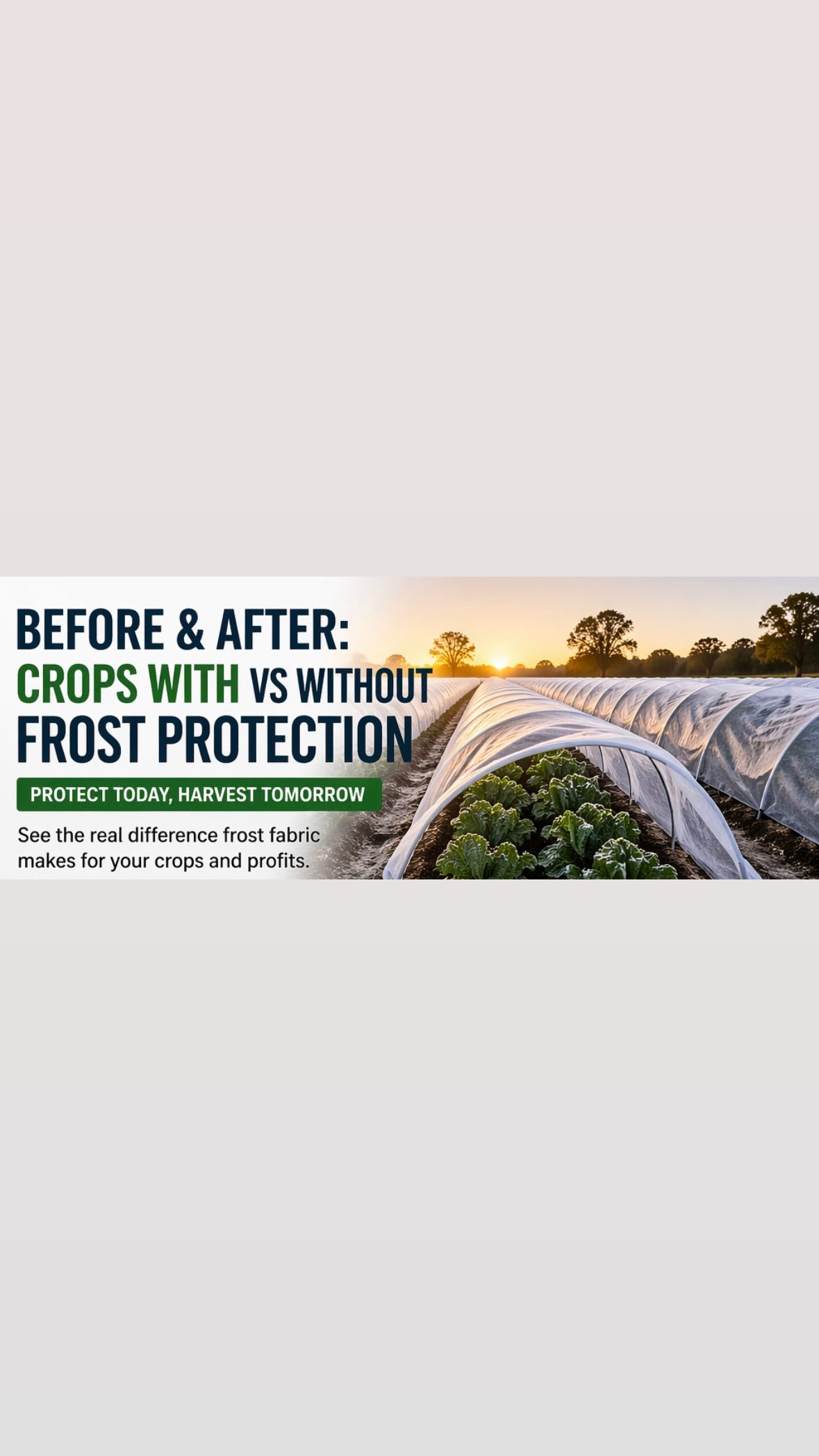 Before & After: Crops With vs Without Frost Protection — And Where to Buy High-Quality Frost Fabric in Australia