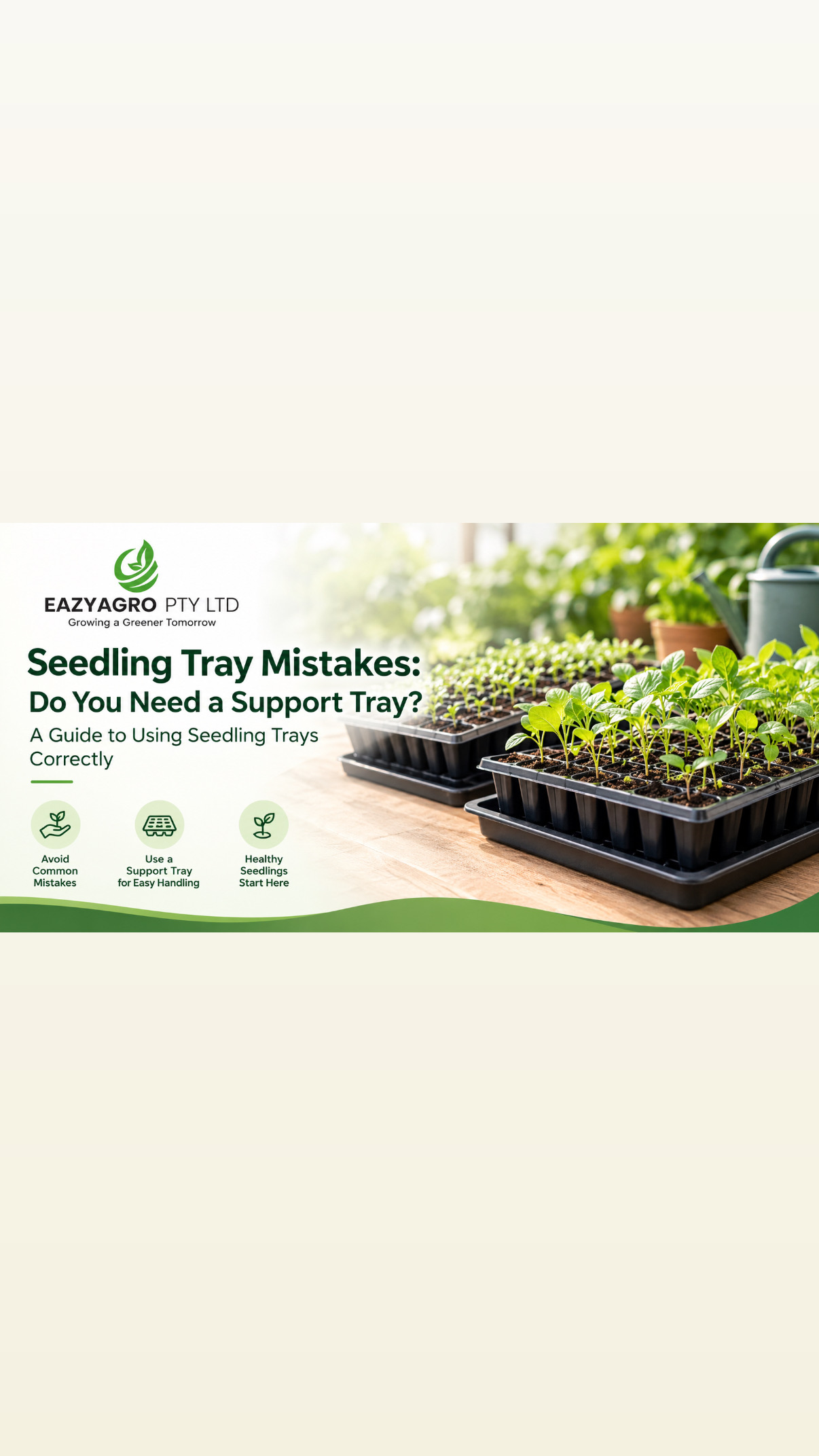 Seedling Tray Mistakes: Do You Need a Support Tray? A Guide to Using Seedling Trays Correctly
