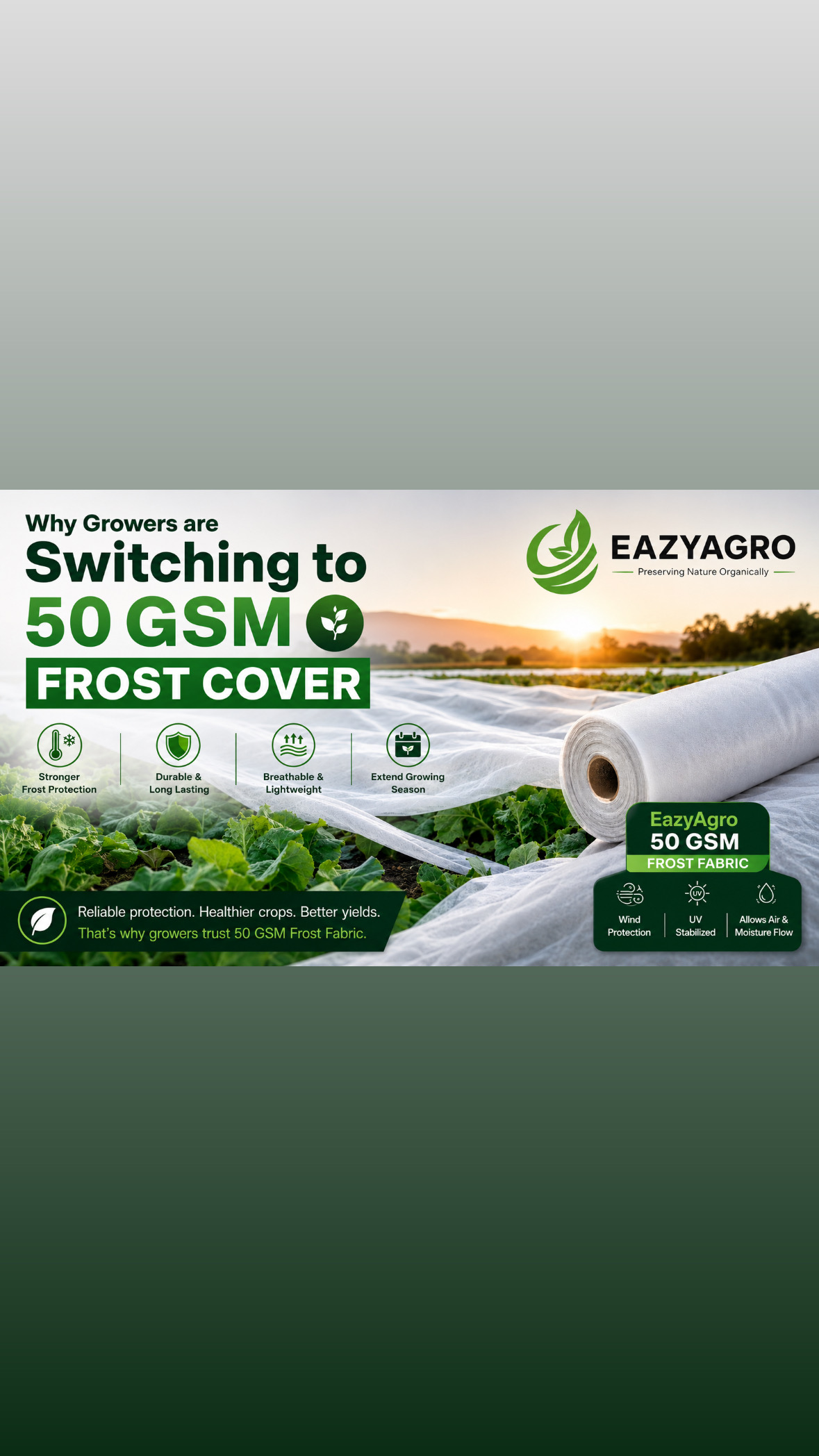 Why Growers Are Switching to 50 GSM Frost Cover