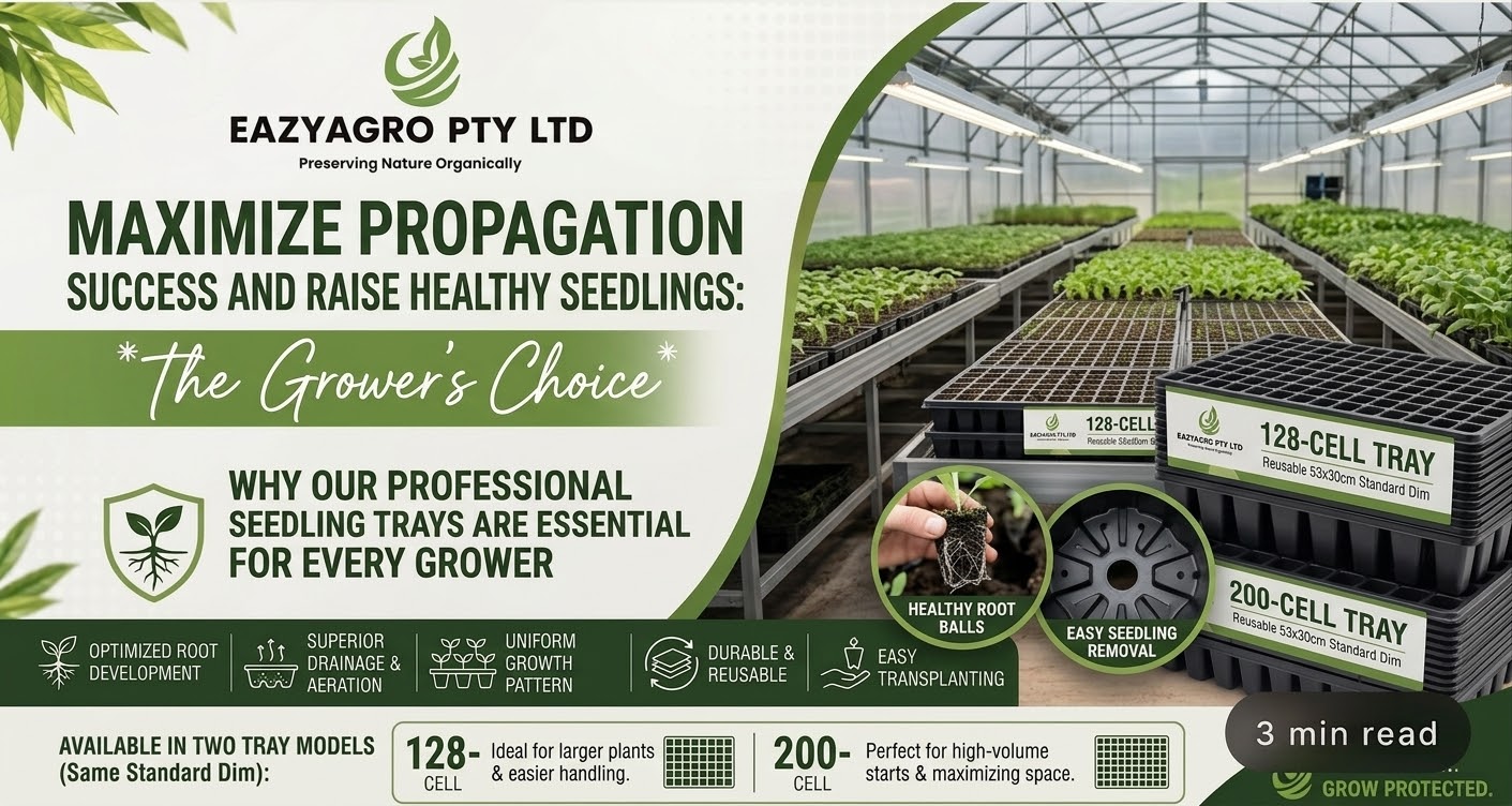 How to Grow Healthy Seedlings in Seedling Trays: From Seed to Transplant