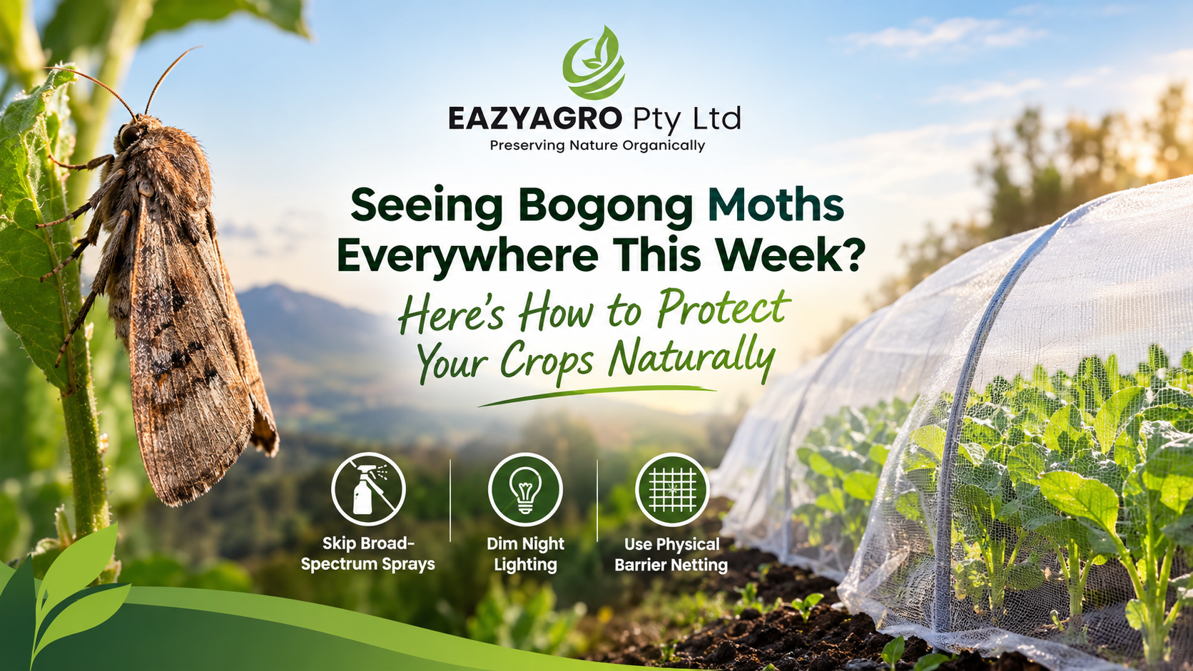  Insect Netting for Bogong Moth Season 