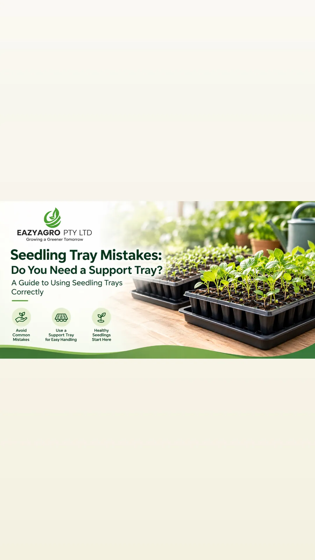Seedling Tray Mistakes: Do You Need a Support Tray? A Guide to Using Seedling Trays Correctly